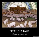 Осенью на колбасу