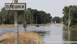 олешки