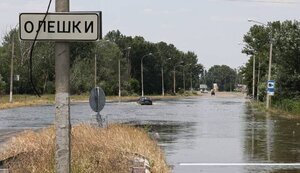 олешки
