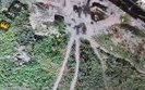 притула,дрон