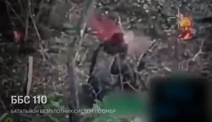 Росіянин застрелився у кущах під пильним наглядом українського безпілотника. ВIДЕО