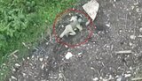 зсу