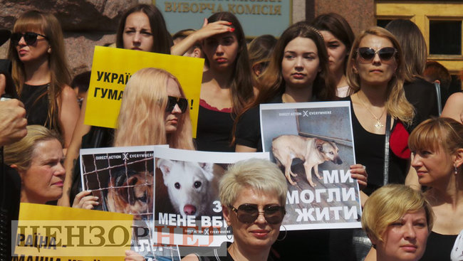 Ми втомилися від безкарності збоченців: Учасники Всеукраїнської акції Україна - не шкуродерня мітингували під КМДА 08