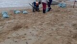 Плями мазуту біля Севастополя