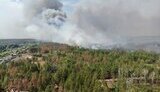 лісова пожежа на Донеччині