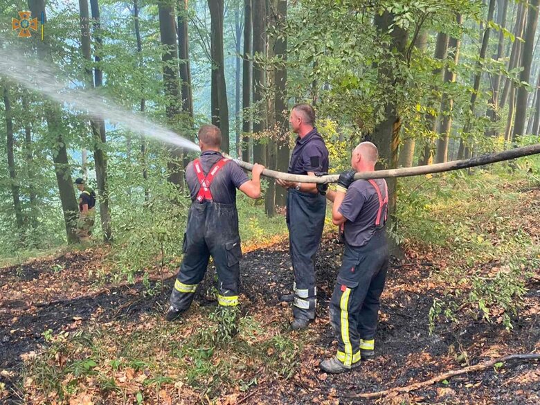 На горі Савчин, що на Закарпатті, триває масштабна пожежа, вогонь випалив 90 га, - ДСНС 03