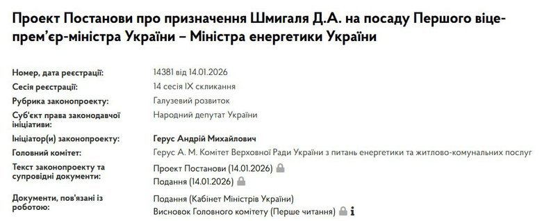 Шмыгаля снова попытаются назначить министром энергетики