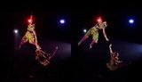 В Одессе во время выступления из-под купола цирка сорвалась акробатка. ФОТО