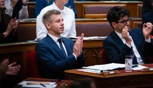Передвиборча обіцянка Мадяра: В Угорщині парламент проголосував за суттєве зниження зарплат депутатів та урядовців