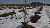 кладбище террористы могилы