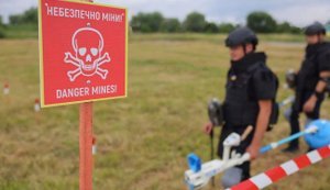 Для перевірки розмінованих земель в Україні створять мережу лабораторій