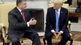 порошенко,трамп