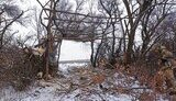 рабиця,сітка