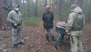 Пограничники не допустили вывоз из Чернобыльской зоны 40 кг грибов, - ГПСУ. ФОТО