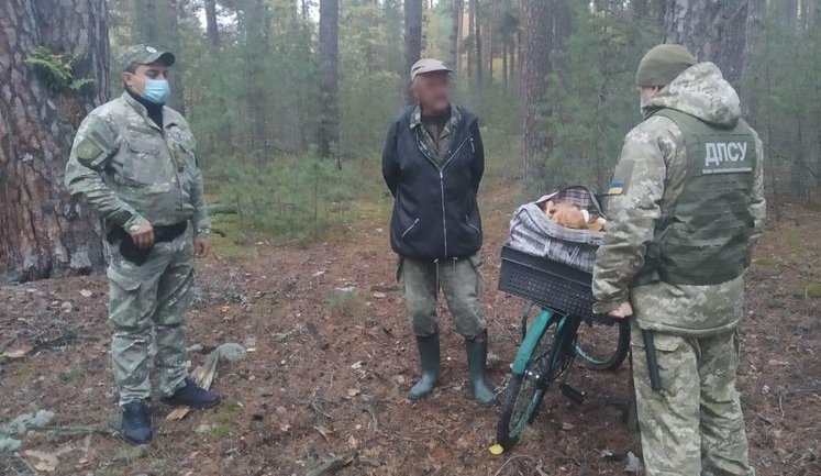 Пограничники не допустили вывоз из Чернобыльской зоны 40 кг грибов, - ГПСУ. ФОТО