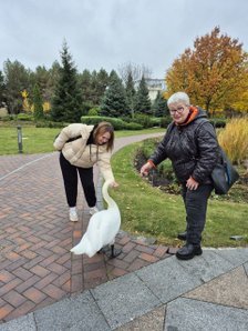 Цензор.НЕТ Зображення