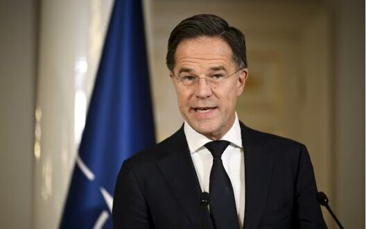 Mark Rutte at Davos Forum