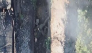Ukrainian soldiers hit the occupier with a combat drone. VIDEO