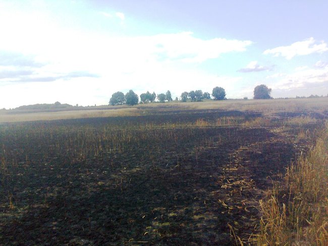 Понад 20 га пшениці згоріло на Житомирщині, - ДСНС 05
