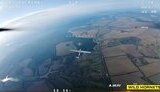 дикі,шершні