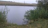 Тіло чоловіка виявили в ставку на Харківщині, поліція підозрює навмисне вбивство