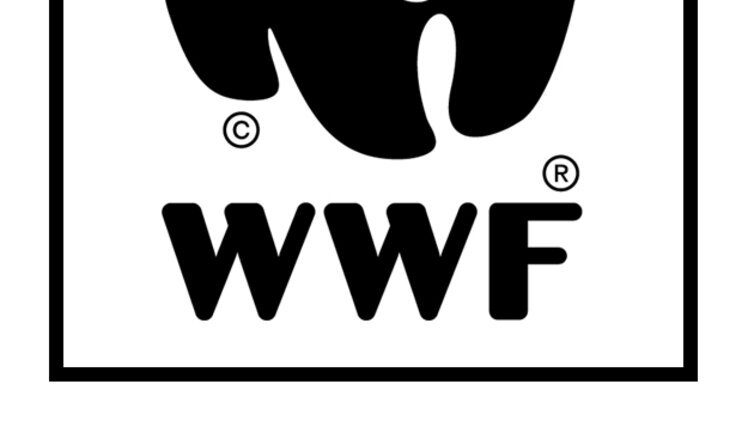 "Заважає освоювати Арктику": Російська влада заборонила Всесвітній фонд дикої природи