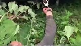 тцк