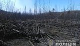 Fire in Chornobyl exclusion zone extinguished. PHOTO