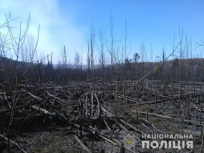 Полиция открыла уголовное производство по факту пожара в Чернобыльской зоне 02