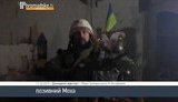 киборги моха