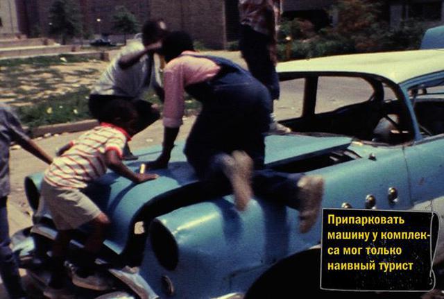 общество
