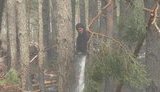 Ситуація з лісовими пожежами в Україні нормалізується, - Шмигаль