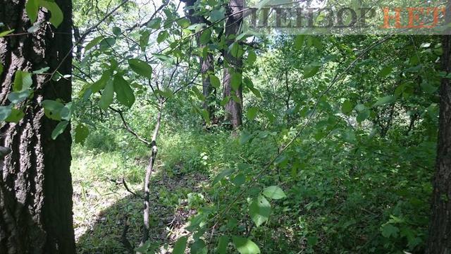 мост навигатор ерофеев