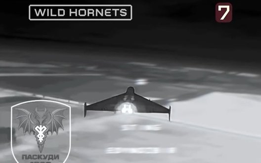 Екіпаж "Фокстрот" за одну добу збив 28 "Шахедів" та 2 "Гербери" на суму близько $1 млн. ВIДЕО