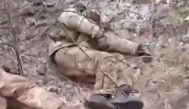 Bodies of eliminated occupiers near Bakhmut. VIDEO