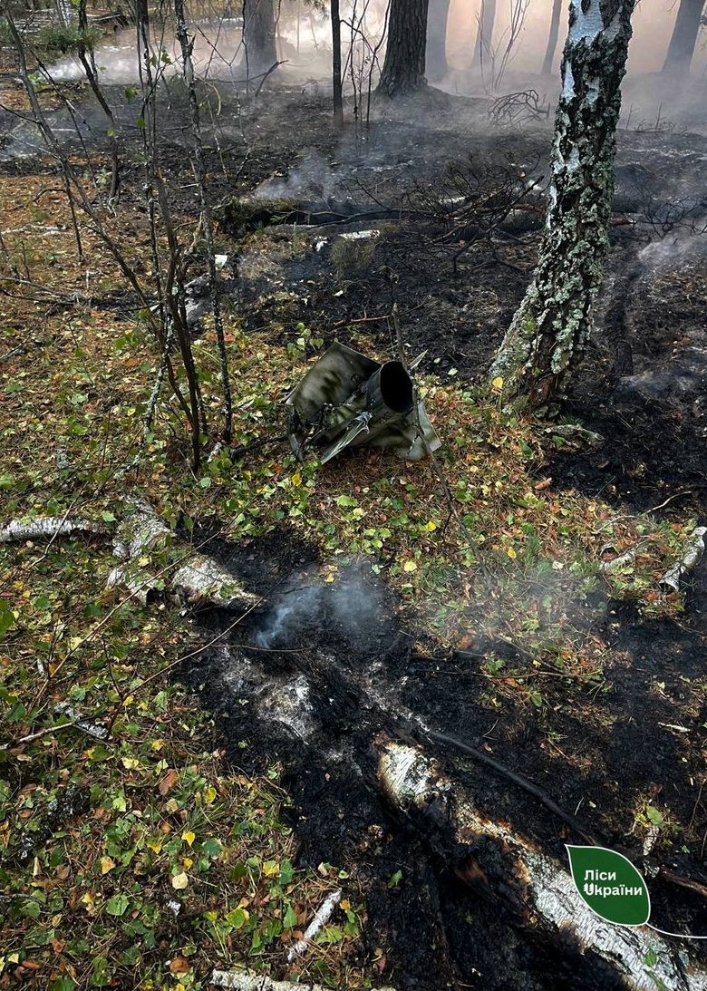 Російські БПЛА, КАБи та FPV-дрони спричинили пожежі на 42 га лісів України
