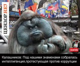 Борец с коррупцией