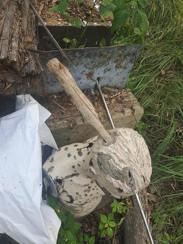 Hunting home of fugitive president Yanukovych: trophy from Lukashenko and guards shooting club 24 Hunting home of fugitive president Yanukovych: trophy from Lukashenko and guards shooting club 24