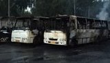 На стоянке под Киевом сгорели 10 маршруток "Богдан", - ГСЧС. ФОТО