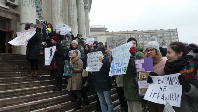Страждання - це НЕ смішно! У Києві протестували проти використання тварин у цирку 05