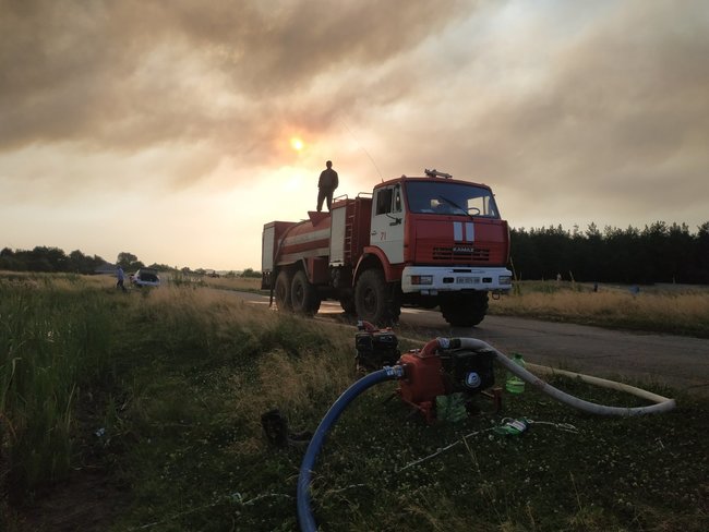 На Луганщині горить 85 га лісу, - ДСНС 01