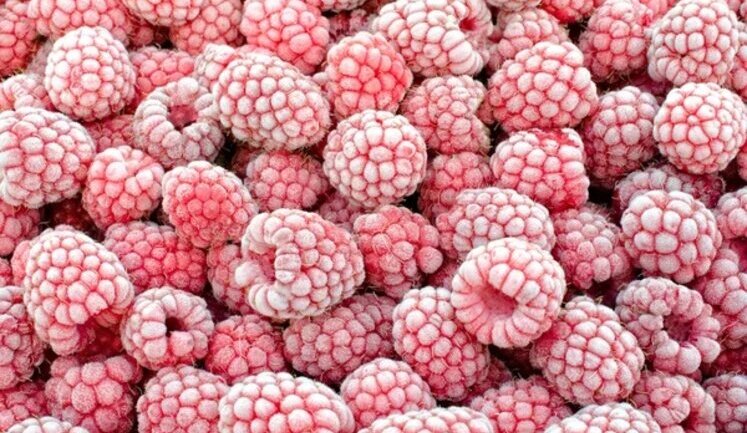 Україна другий рік поспіль стала найбільшим у світі експортером замороженої малини, – УПОА