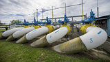 Ukrainian CEO Must Fix His Company to Save His Country