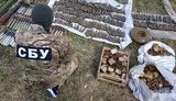 Схрон із гранатометами і боєприпасами виявлено на Луганщині, - СБУ. ФОТО
