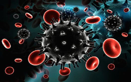 Ukraine reports 16,427 new coronavirus cases