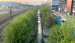 Київська міська рада розробить та ухвалить концепцію ревіталізації міських водойм
