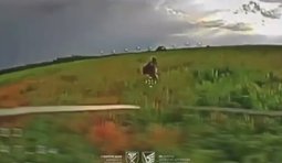 бої на олександрівському напрямку