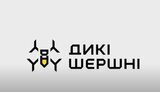 дикі,шершні