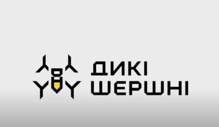 "Мрія на дрони" - сбор 6 миллионов гривен на 300 FPV-дронов "Дикі Шершні" для Третьей Штурмовой. ФОТО