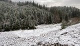У річках Закарпаття очікується підвищення рівня води, - ДСНС